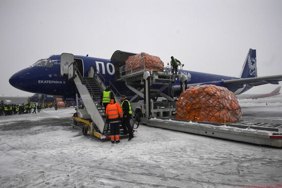 Russian Post's airplanes presented