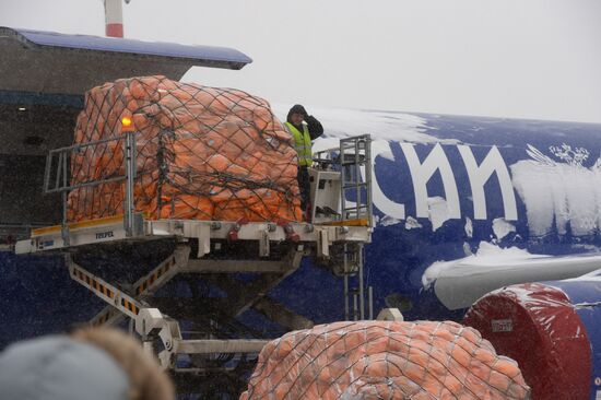 Russian Post's airplanes presented