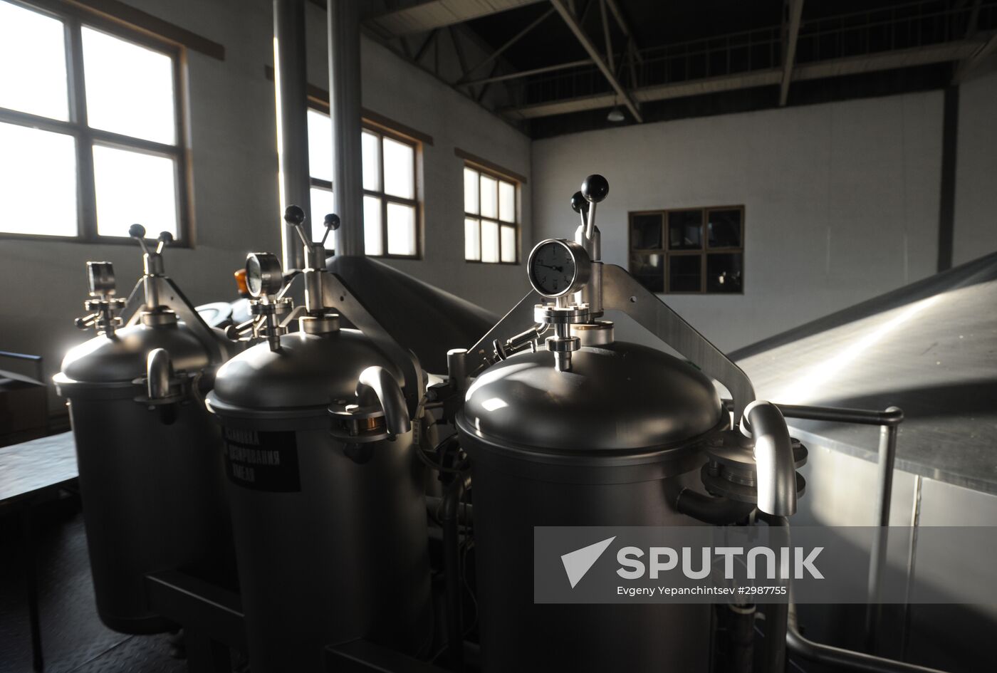 Production of soft drinks and beer in Chita