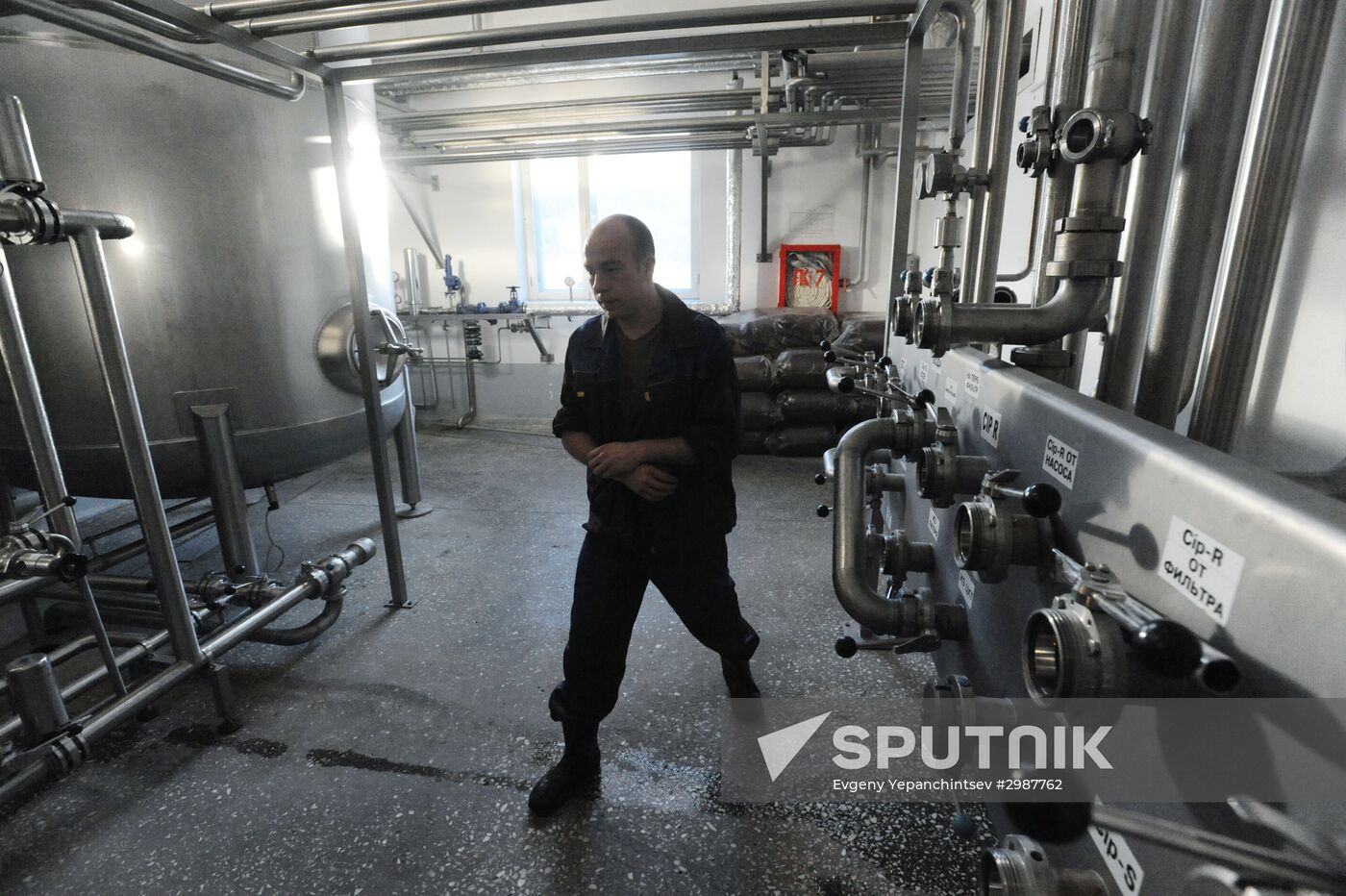 Production of soft drinks and beer in Chita