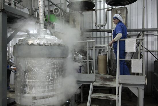 Halva production facility opens in Donetsk