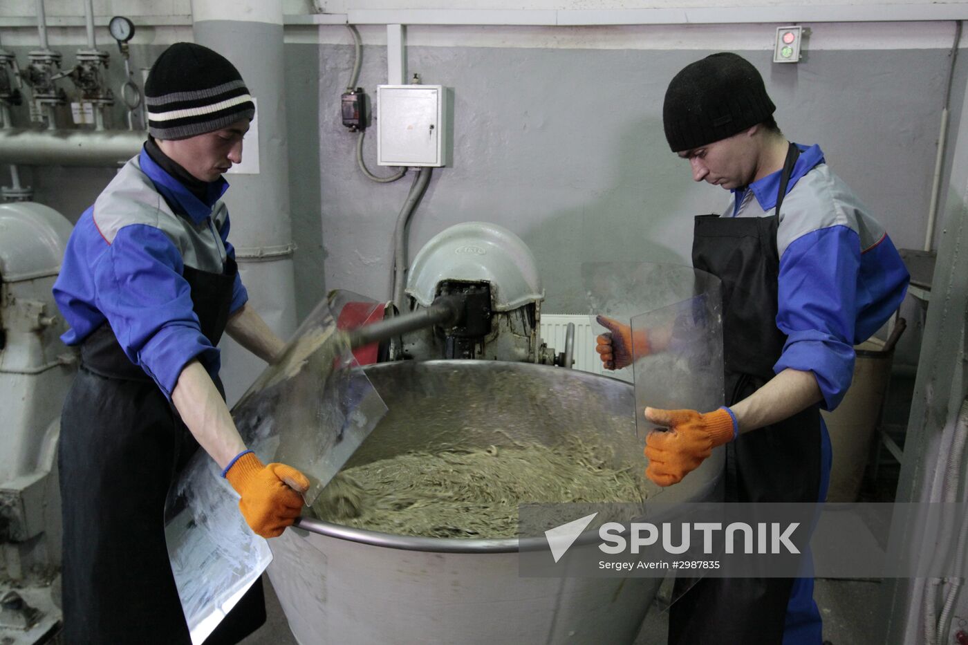 Halva production facility opens in Donetsk