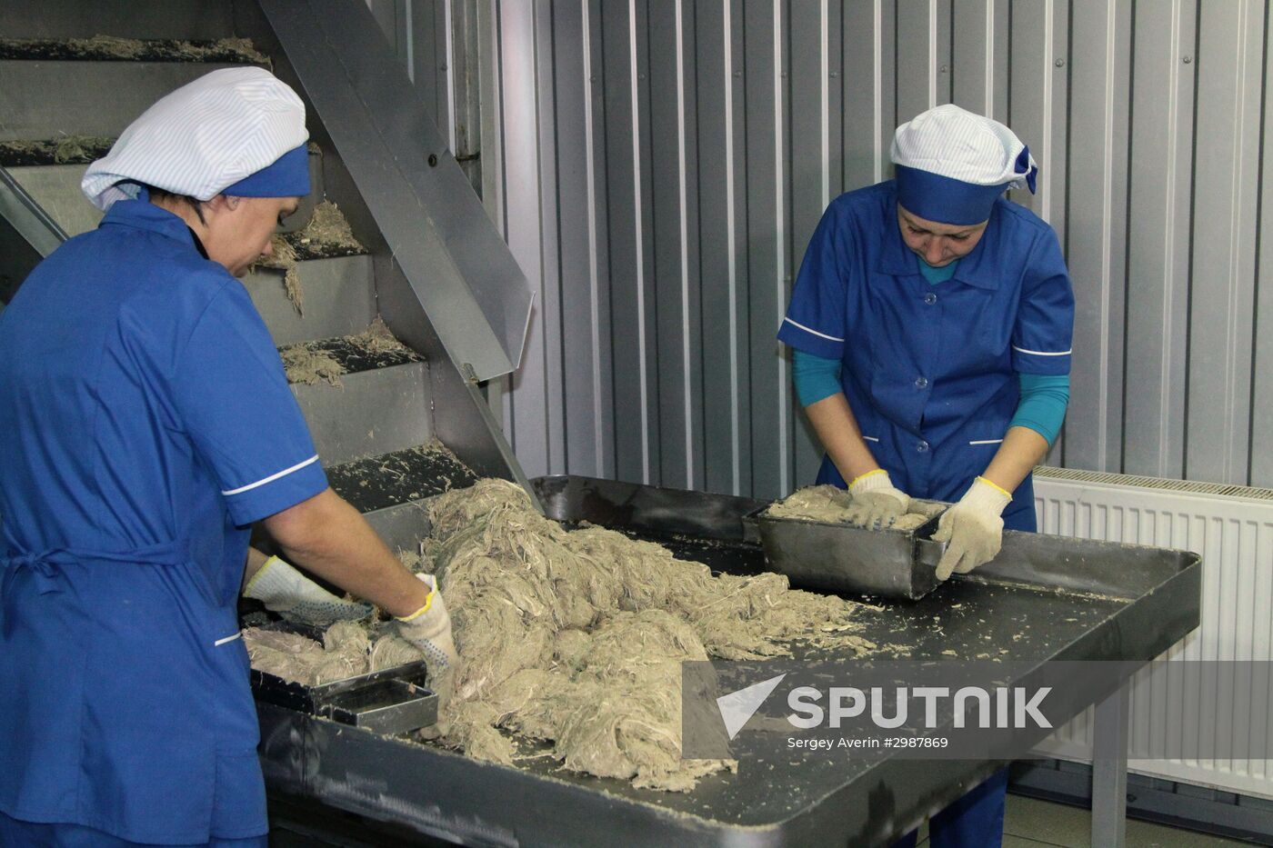 Halva production facility opens in Donetsk