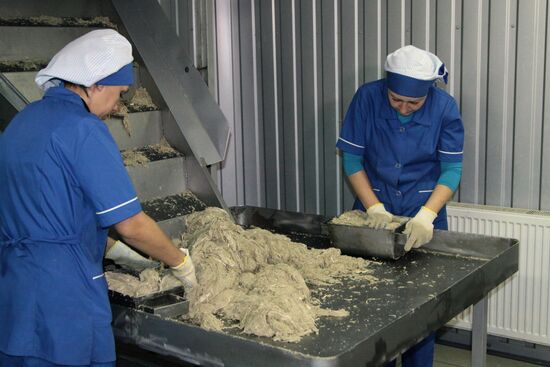 Halva production facility opens in Donetsk