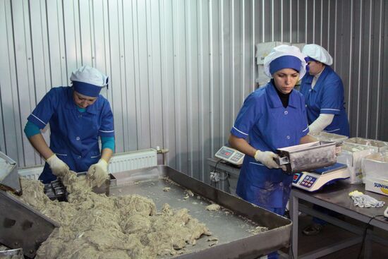 Halva production facility opens in Donetsk