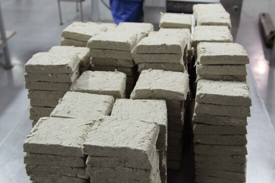 Halva production facility opens in Donetsk