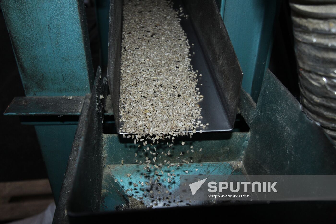 Opening halvah-produciton shop in Donetsk