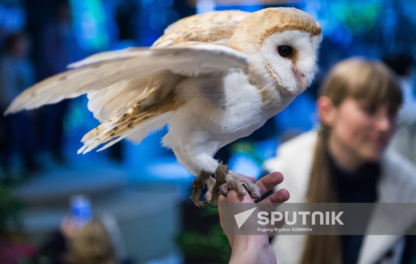 Harry Potter and the Cursed Child in Russian released