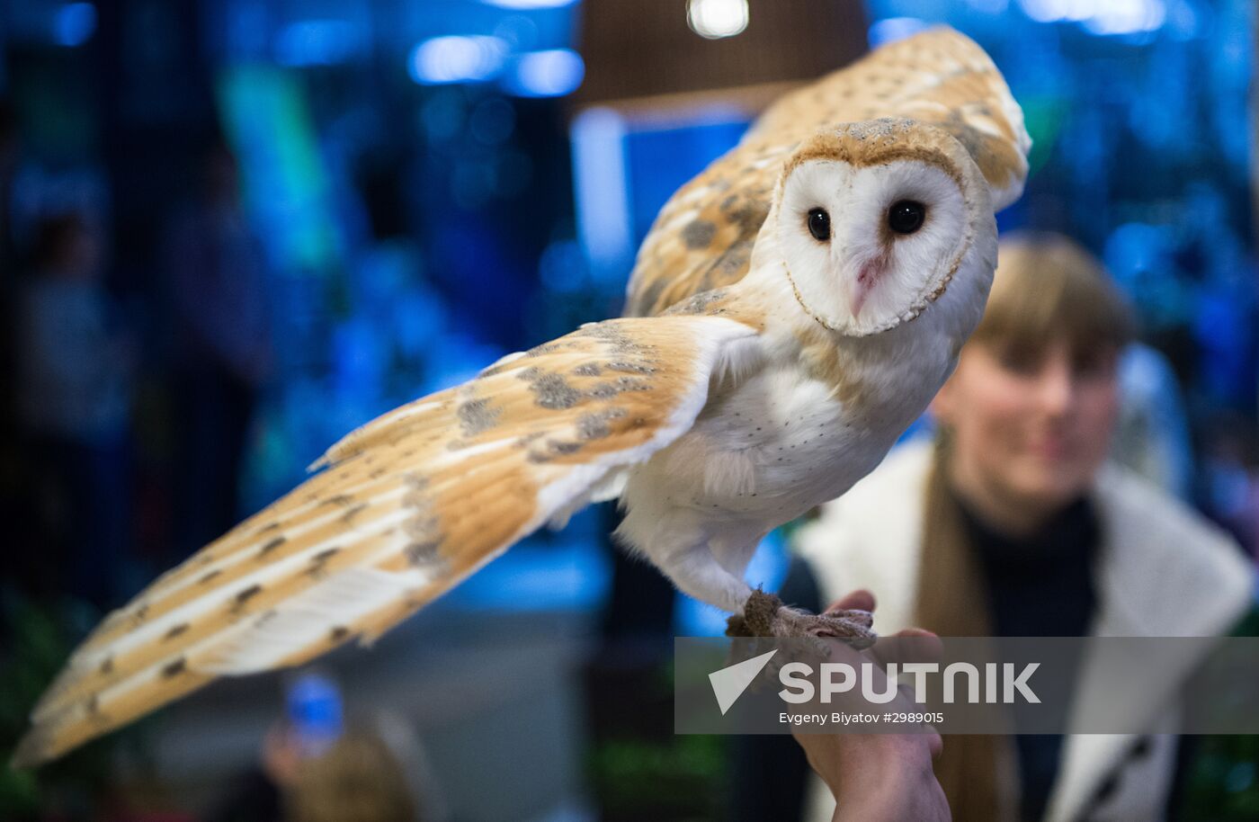 Harry Potter and the Cursed Child in Russian released