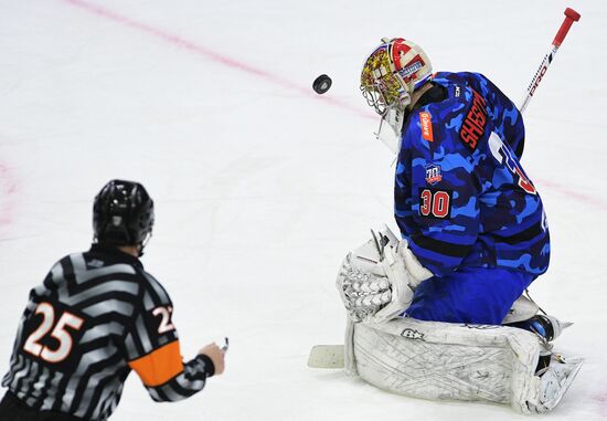 Ice hockey. KHL. SKA vs. Dynamo Moscow