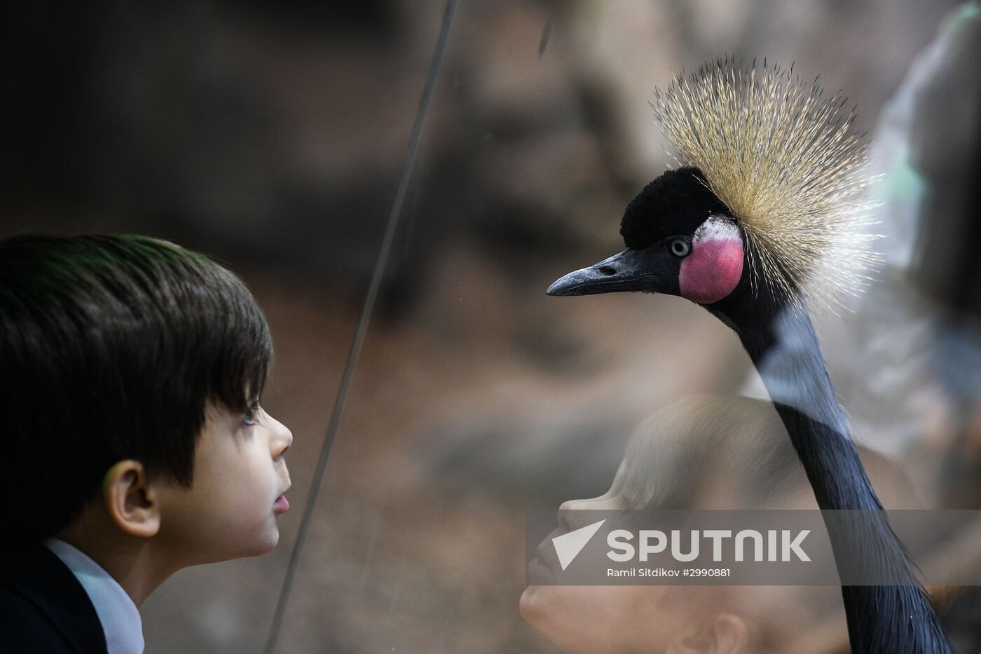 Crocus City Oceanarium unveiled