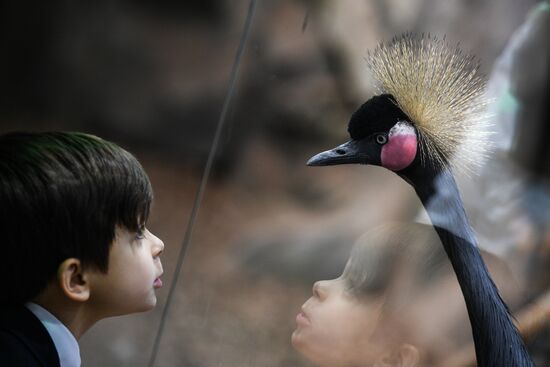 Crocus City Oceanarium unveiled