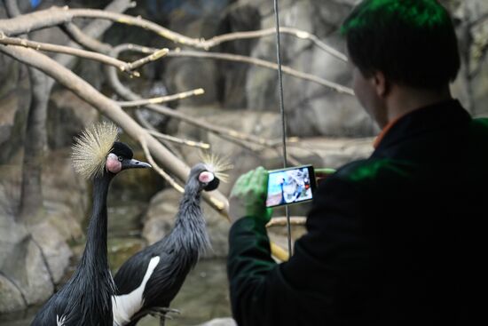 Crocus City Oceanarium opens
