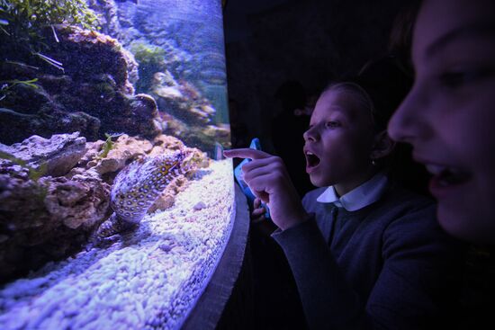 Crocus City Oceanarium opens