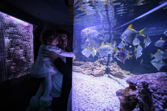 Crocus City Oceanarium opens