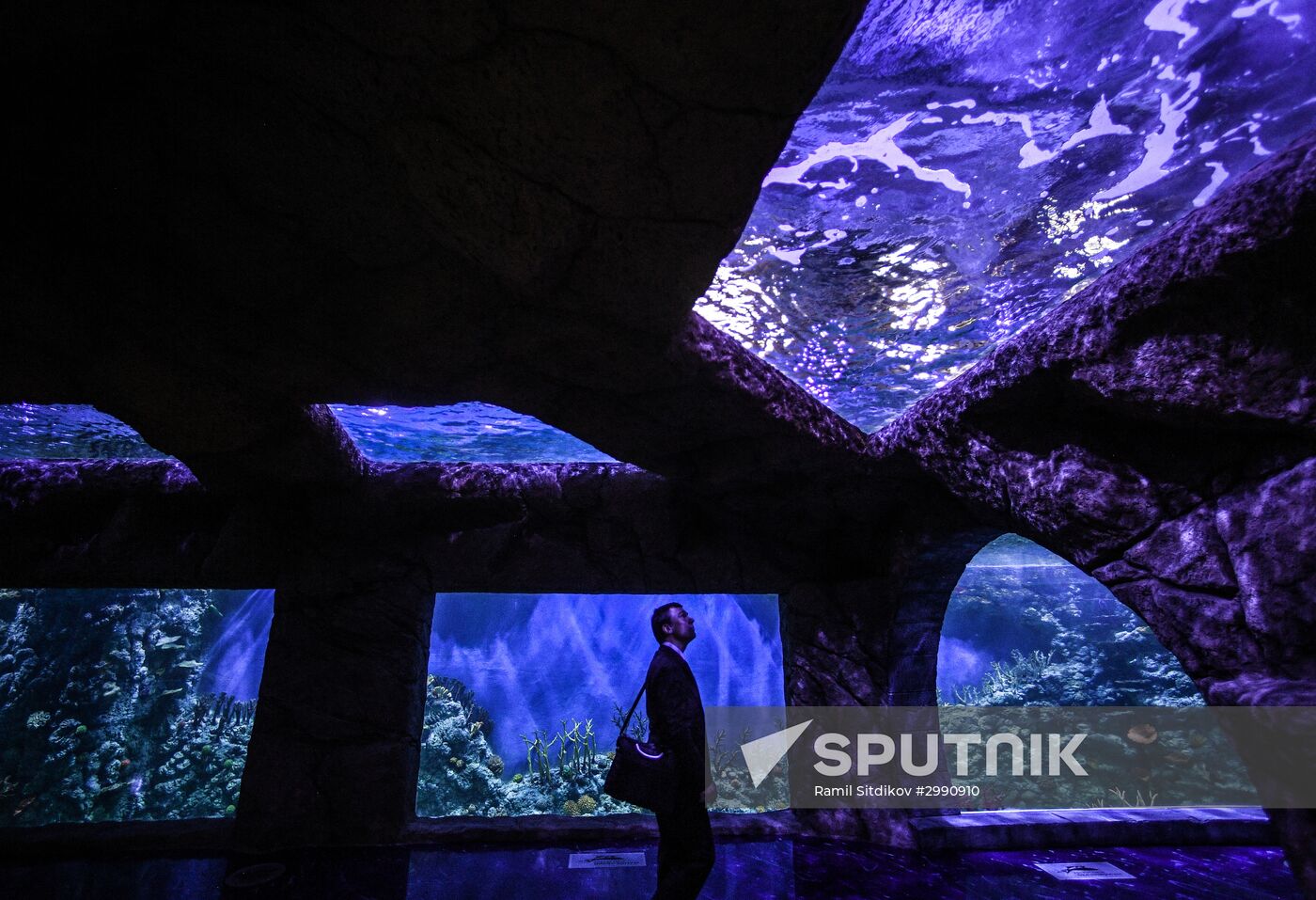 Crocus City Oceanarium opens