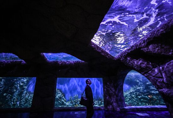 Crocus City Oceanarium opens