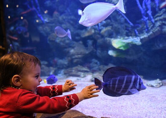 Crocus City Oceanarium unveiled
