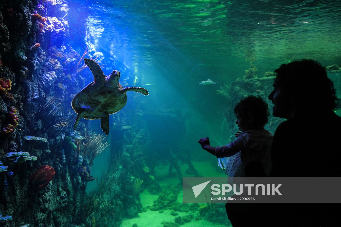 Crocus City Oceanarium unveiled