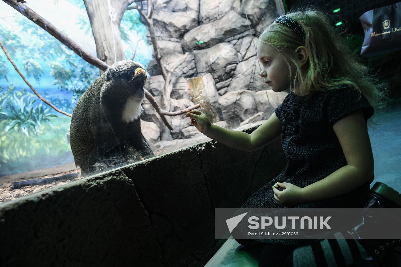 Crocus City Oceanarium opens