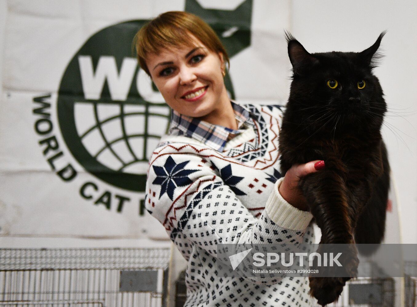 Zimnij Kubok Kot-Info cat exhibition in Moscow