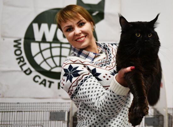 Zimnij Kubok Kot-Info cat exhibition in Moscow