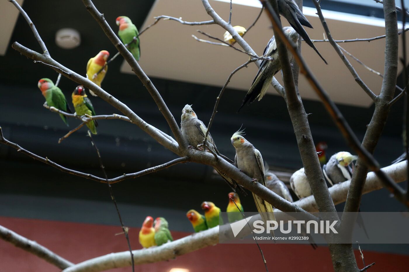Belgorod Exotarium