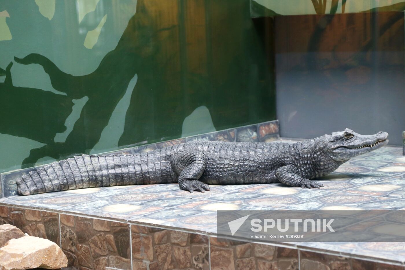 Belgorod Exotarium