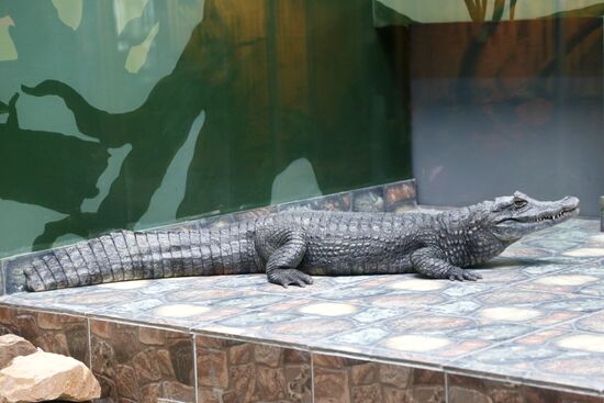 Belgorod Exotarium