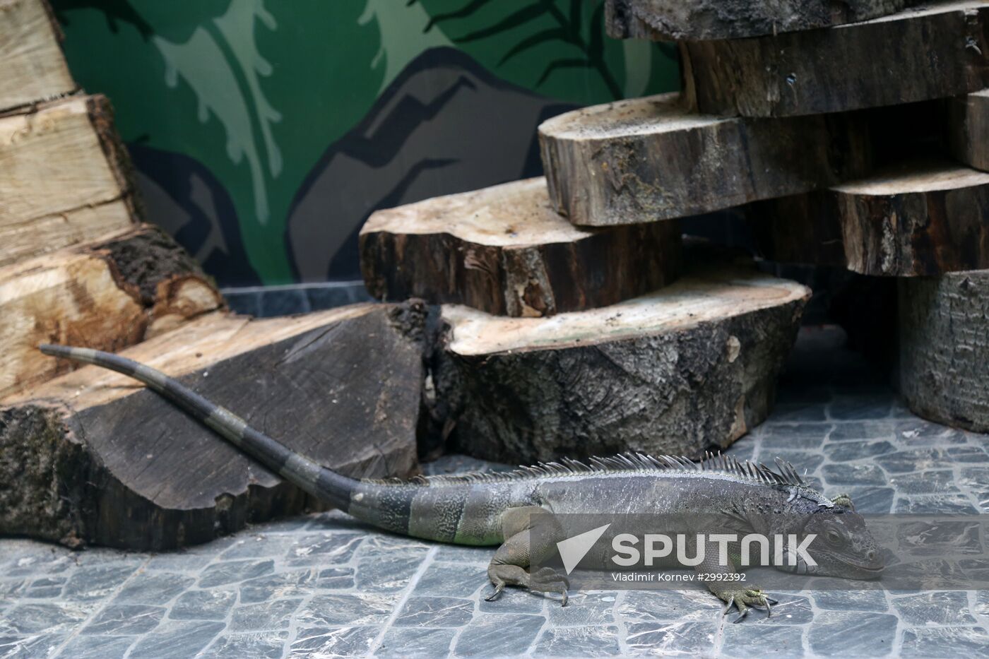 Belgorod Exotarium