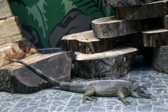 Belgorod Exotarium