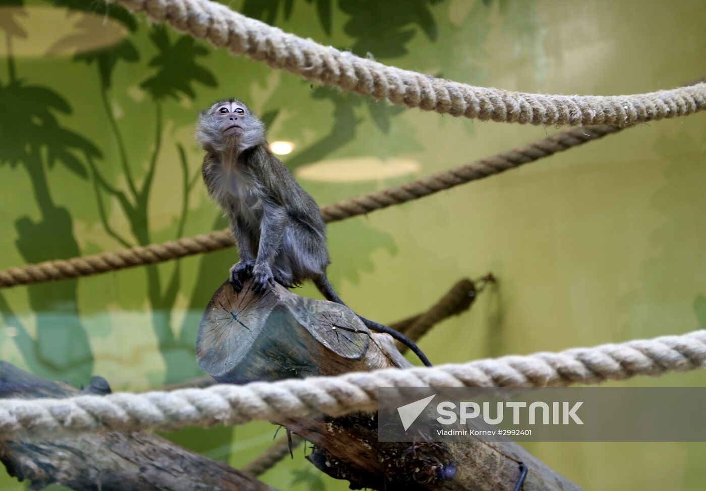 Belgorod Exotarium