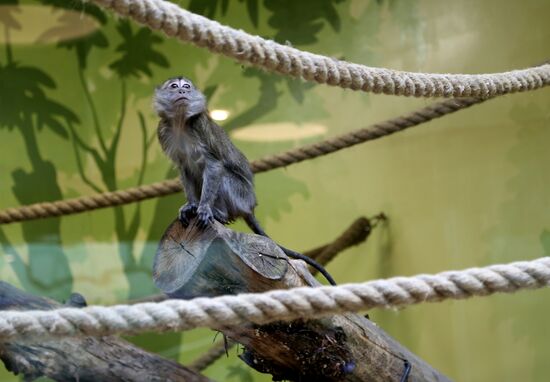 Belgorod Exotarium