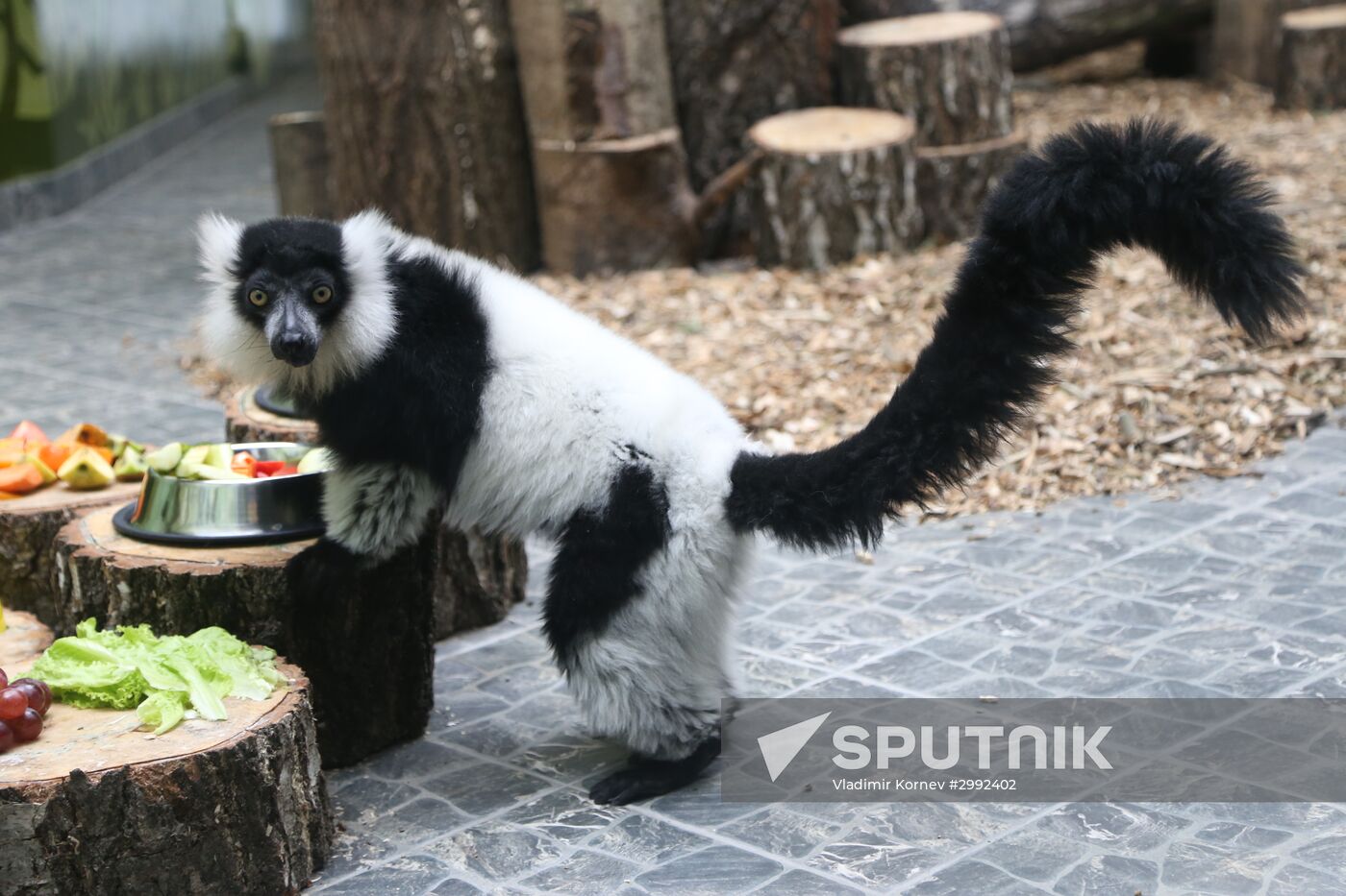 Belgorod Exotarium