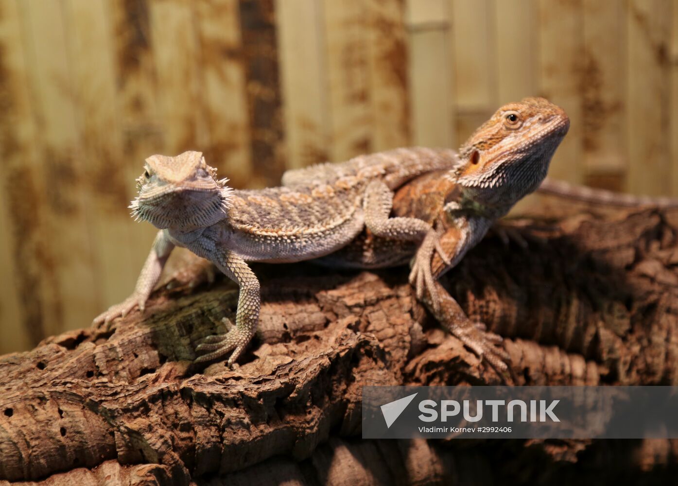 Belgorod Exotarium