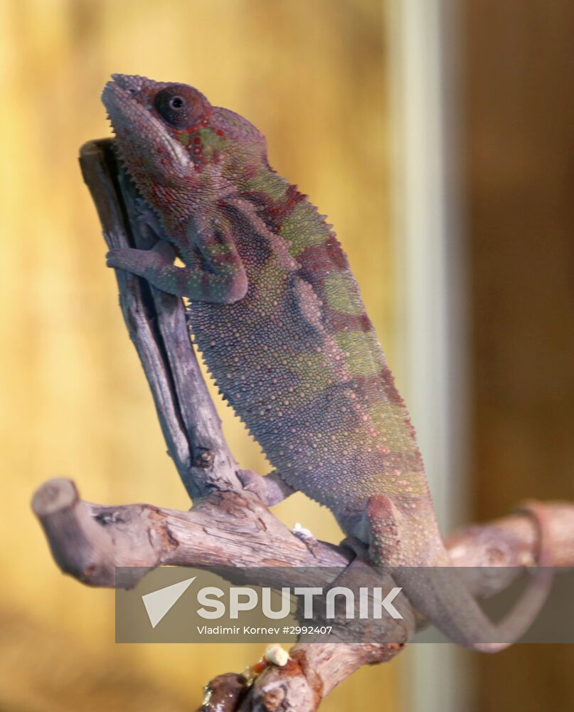 Belgorod Exotarium