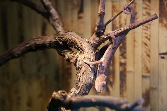 Belgorod Exotarium