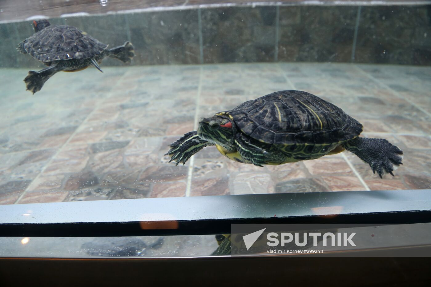 Belgorod Exotarium