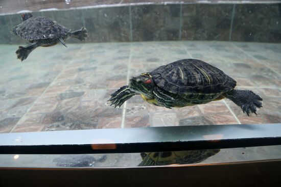 Belgorod Exotarium