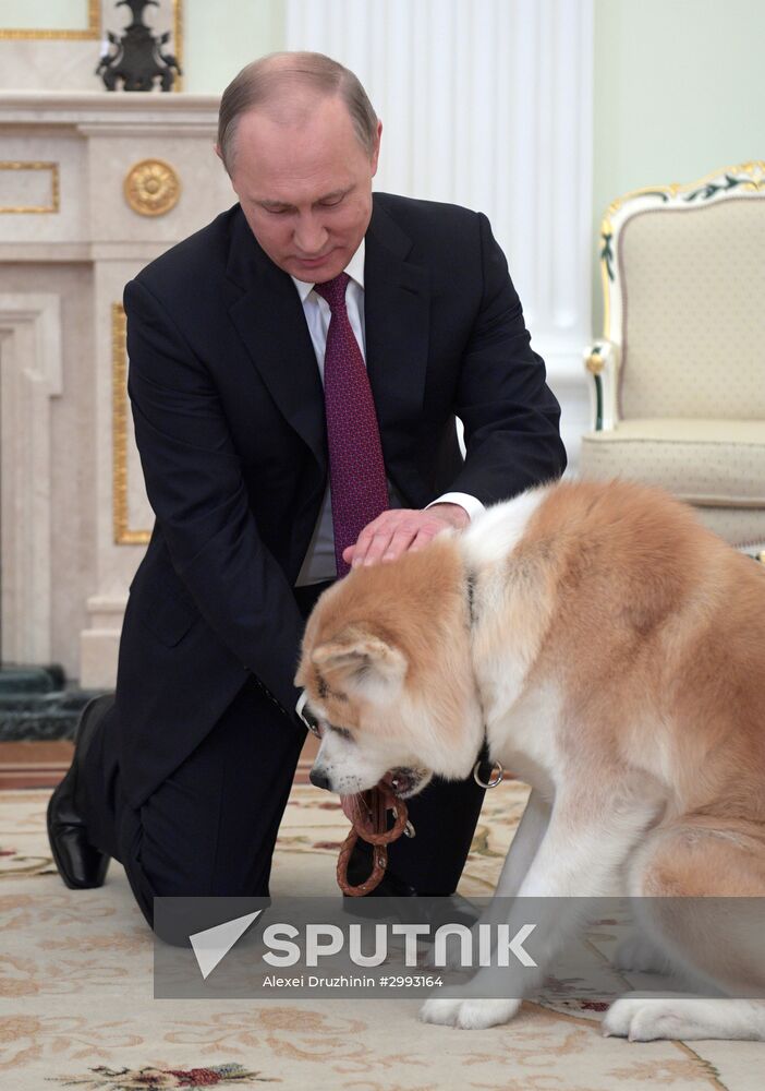 Vladimir Putin interviewed by Nippon Television Network Corporation and Yomiuri Shimbun