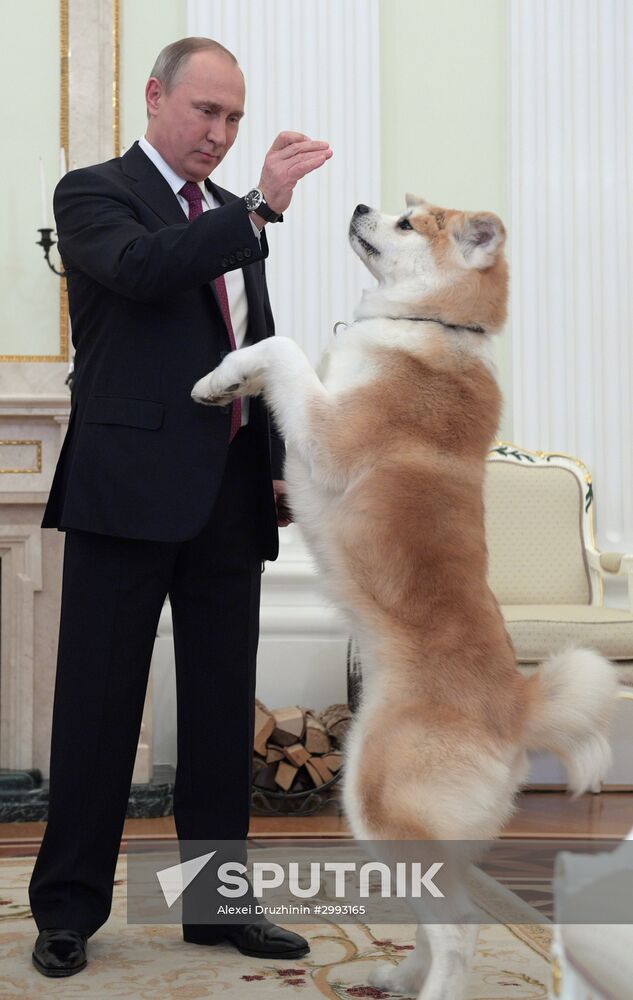 Vladimir Putin interviewed by Nippon Television Network Corporation and Yomiuri Shimbun