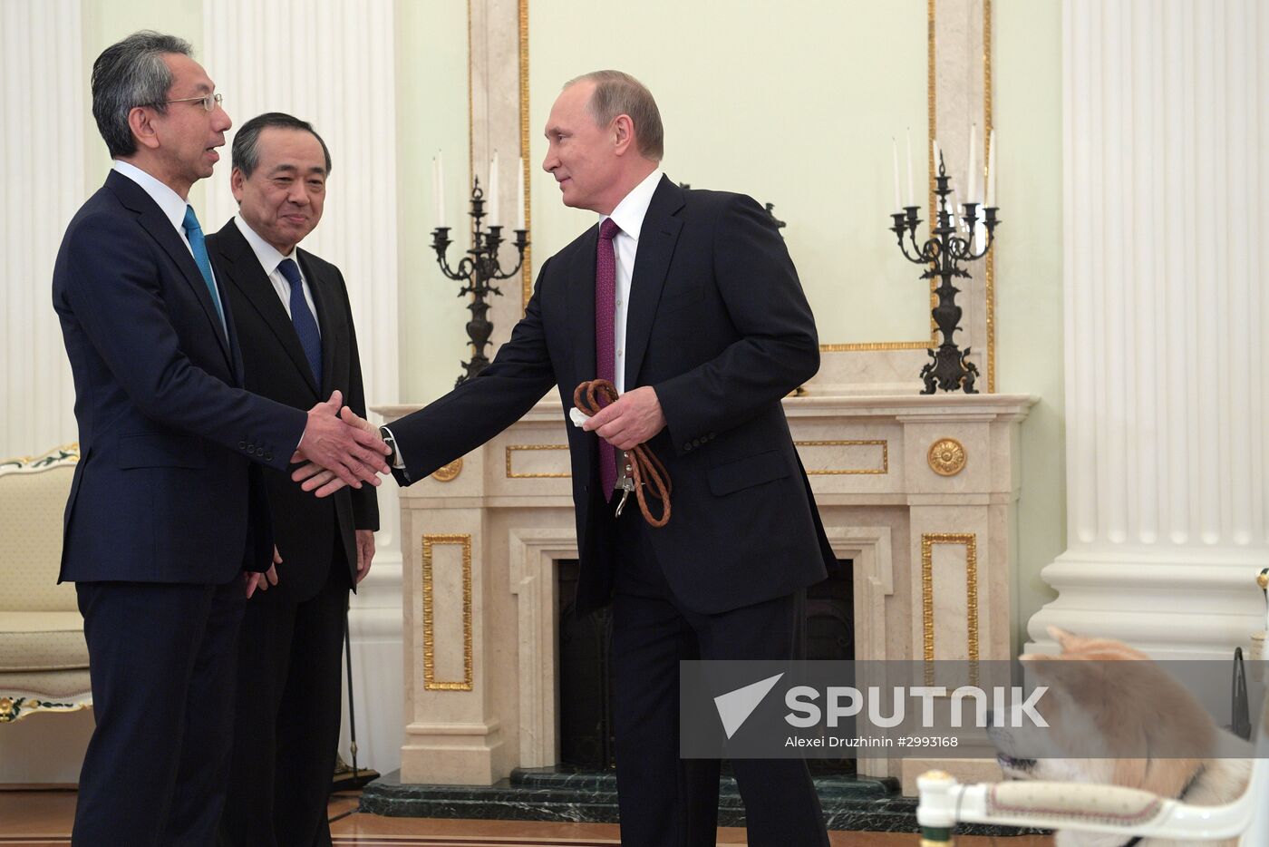 Vladimir Putin interviewed by Nippon Television Network Corporation and Yomiuri Shimbun