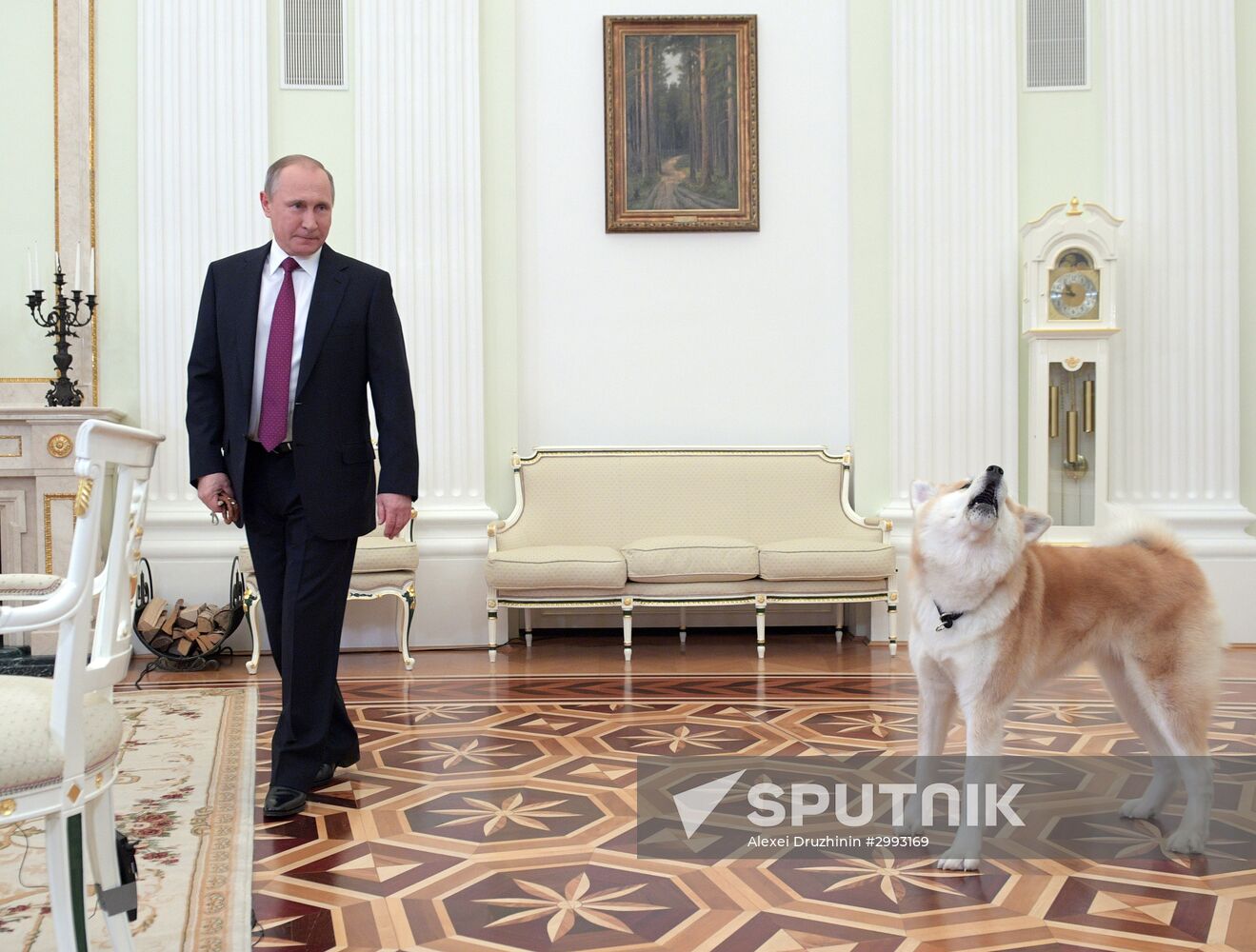 Vladimir Putin interviewed by Nippon Television Network Corporation and Yomiuri Shimbun