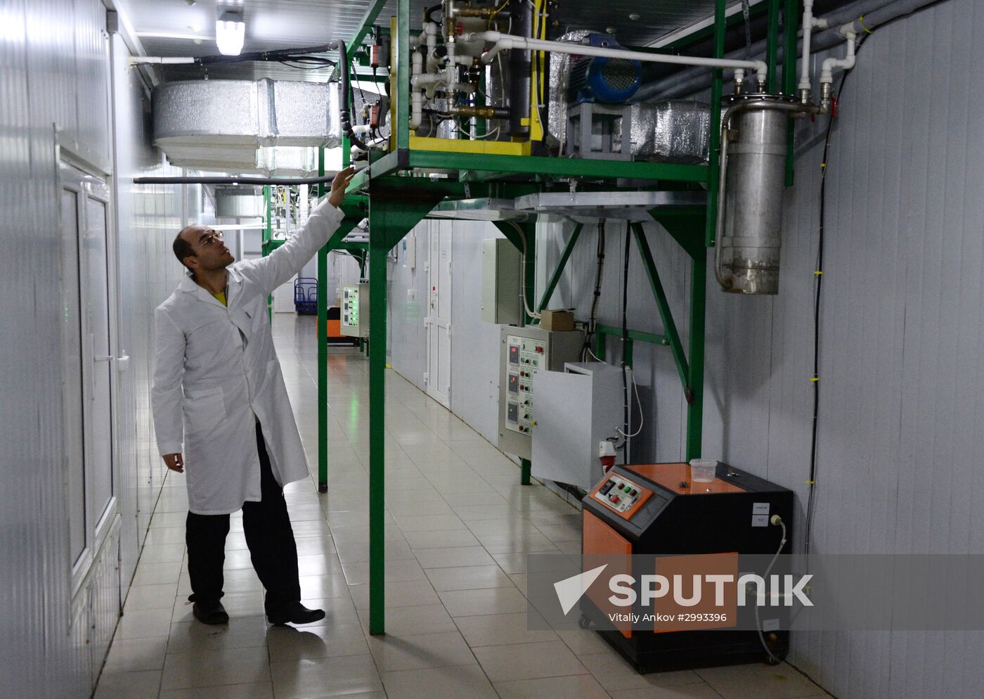 Oyster mushroom farm in Primorye Territory