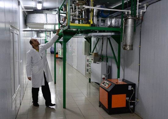 Oyster mushroom farm in Primorye Territory