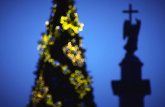 Main Christmas tree assembled in St. Petersburg