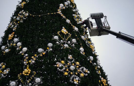 Main Christmas tree assembled in St. Petersburg