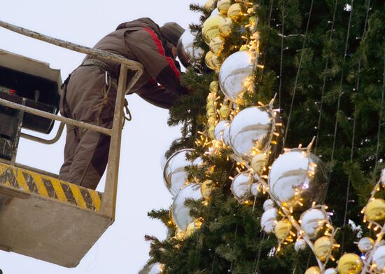 Main Christmas tree assembled in St. Petersburg
