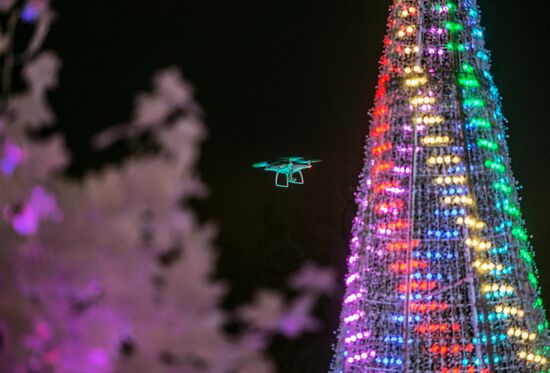 Moscow looks forward to New Year