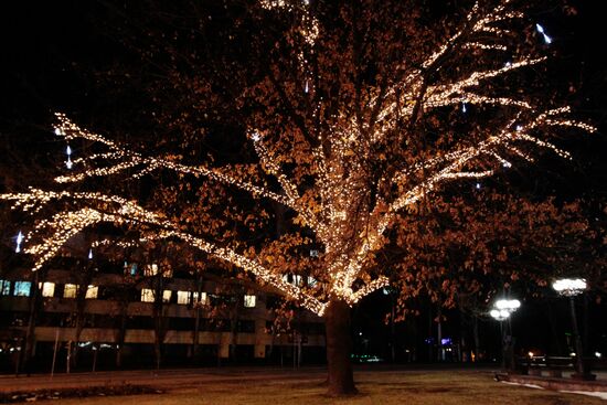 Donetsk ahead of New Year celebrations